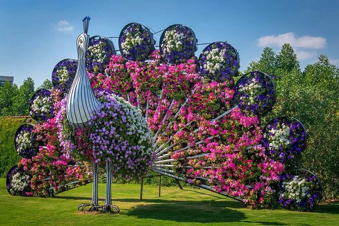 Miracle Garden Dubai Including Pickup & Drop Off - What the independent format feels like