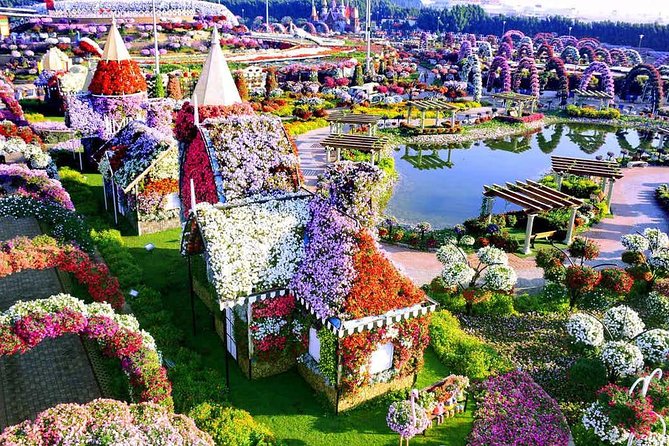 Miracle Garden Dubai Including Pickup & Drop Off - Practical planning before you go