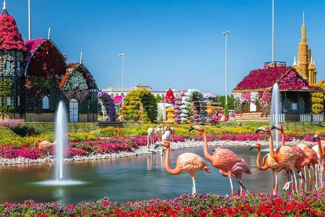 Miracle Garden Dubai Including Pickup & Drop Off - Final decision: should you book it?