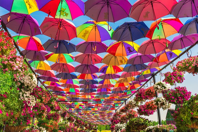 Miracle Garden In Dubai tickets with pickup drop option - Who will enjoy this outing most?