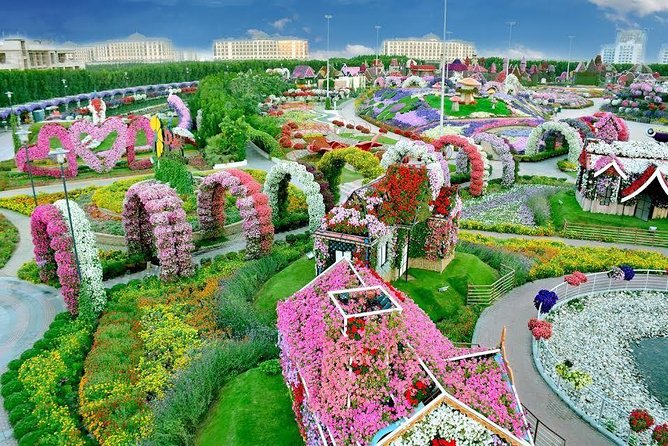 Miracle Garden Ticket Dubai with Shared Transfers - Why Miracle Garden is worth your Dubai time