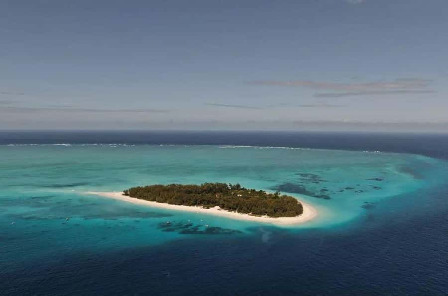 Mnemba Island, Prison Island, Secret Garden, Jozani Forest - A full day built around Zanzibar’s headline sights