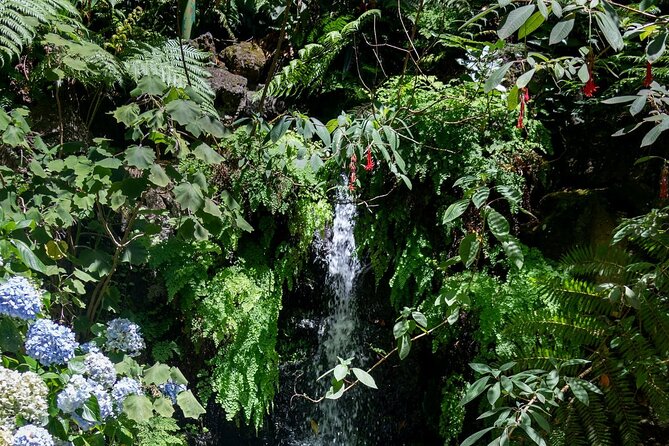 Monte Palace Tropical Garden tour with Cable Car - The garden’s slopes are part of the deal