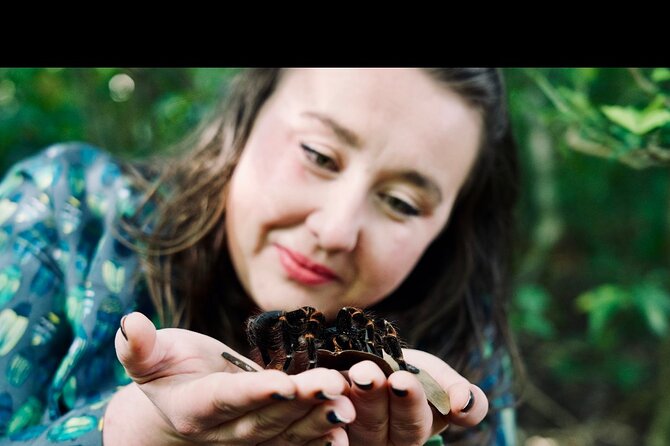 Monteverde Butterfly Gardens Tour - A one-hour visit with room to linger
