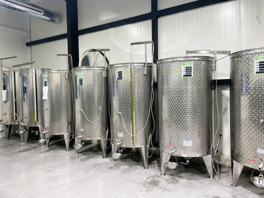 Montpellier : Visit lavender field and an Olive Oil Mill - Inside Moulin du Mas Palat