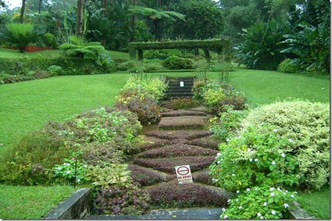 Montreal Gardens Tour with Trubb Taxi Tours - A quick but worthwhile start at St Vincent Botanical Gardens