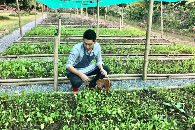 Morning Cooking Class in Traditional Pavilion with Beautiful Garden - Chiang Mai - What you may cook during the three-dish class