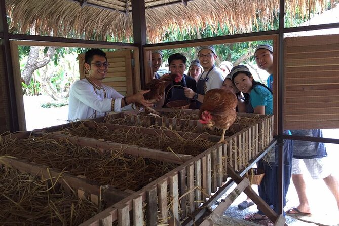 Morning Cooking Class in Traditional Pavilion with Beautiful Garden - Chiang Mai - Timing, weather, and practical planning