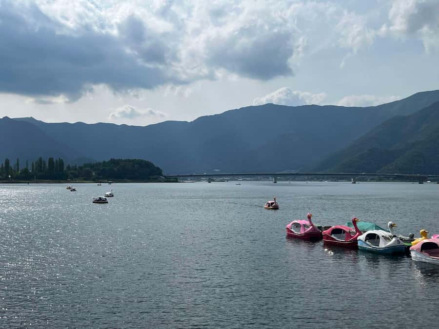 Mount Fuji & Hakone Private Tour with Cherry Blossoms - Key points to know before booking