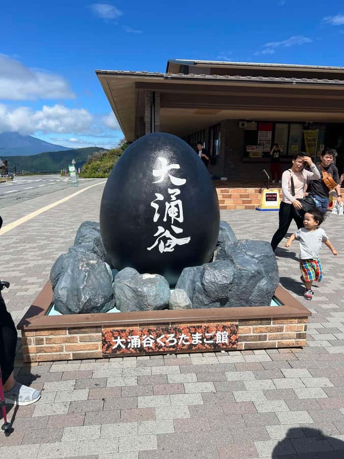 Mount Fuji & Hakone Private Tour with Cherry Blossoms - Why a private Fuji day can make sense