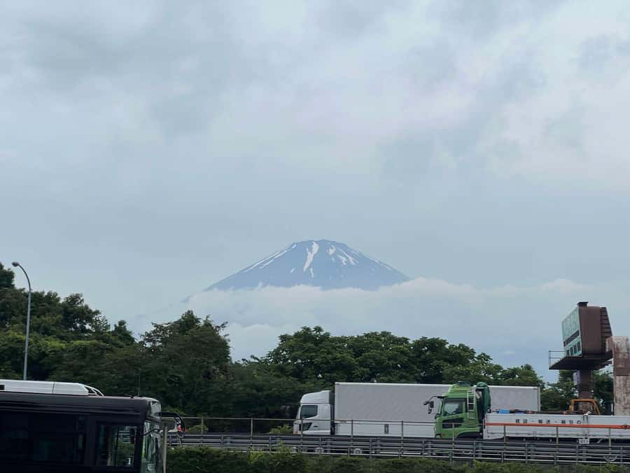 Mount Fuji & Hakone Private Tour with Cherry Blossoms - A 1,000-year-old tree at Fuji Sengen Shrine
