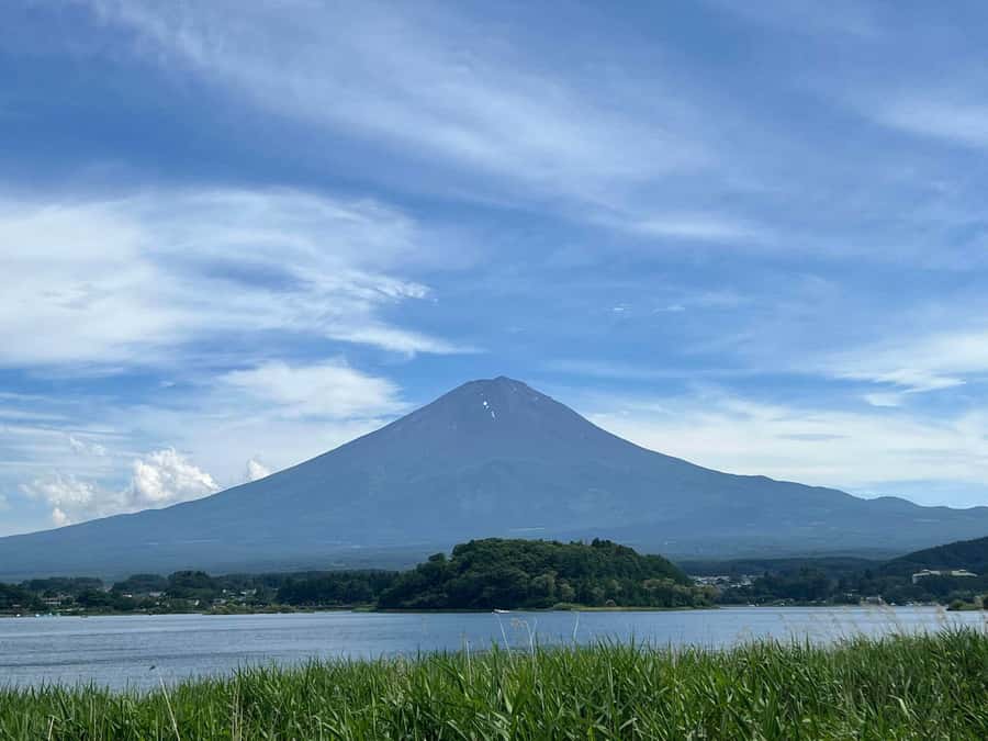 Mount Fuji & Hakone Private Tour with Cherry Blossoms - Hakone and Owakudani: a volcanic opening