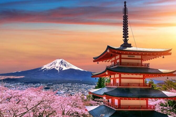 Mount Fuji & Lake Kawaguchiko Private Tour: Beyond the Ordinary - The essential points before you book
