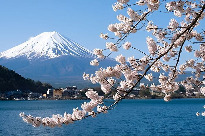 Mount Fuji & Lake Kawaguchiko Private Tour: Beyond the Ordinary - What the private format really gives you