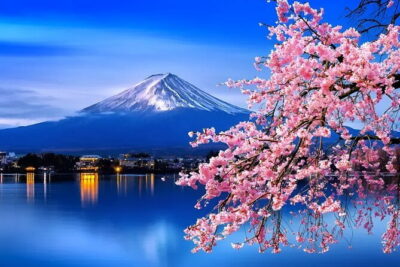 Mount Fuji & Lake Kawaguchiko Private Tour: Beyond the Ordinary