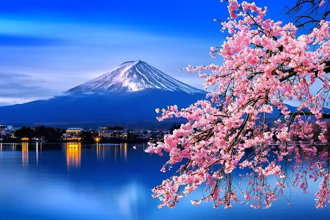 Mount Fuji & Lake Kawaguchiko Private Tour: Beyond the Ordinary - Mount Fuji 5th Station: the highest viewpoint, when open