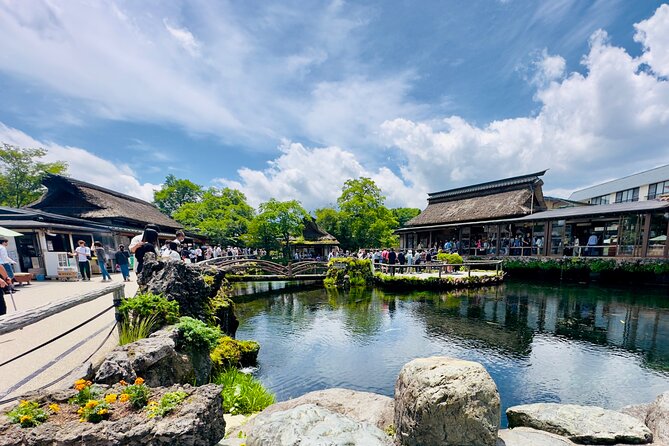 Mt. Fuji, Cherry Blossom & Shiba Sakura Pvt. Day Tour - The real issue is weather and timing