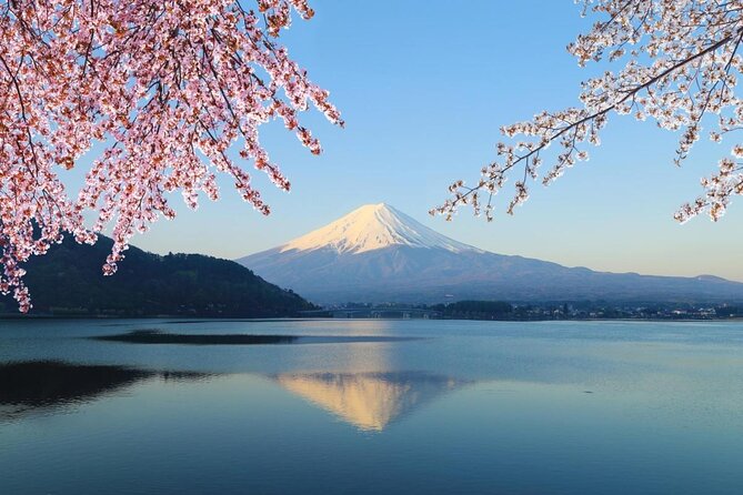 Mt. Fuji Day Trip from Tokyo with English Speaking Driver Guide - Quick points before you book