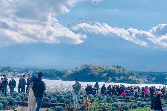 Mt. Fuji Day Trip from Tokyo with English Speaking Driver Guide - Why a private ride helps on a Fuji day
