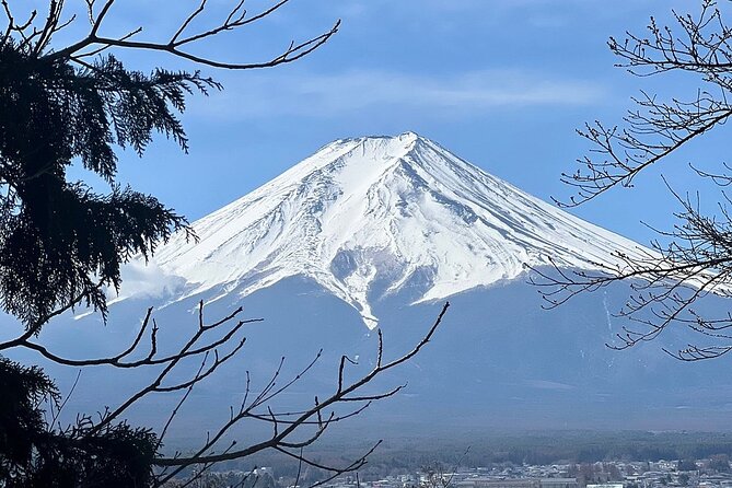Mt. Fuji Day Trip from Tokyo with English Speaking Driver Guide - The shrine brings a quieter side of Fuji