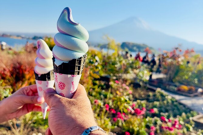 Mt. Fuji & Hakone Cherry Blossom private One Day Tour - What This Private Fuji and Hakone Day Really Offers