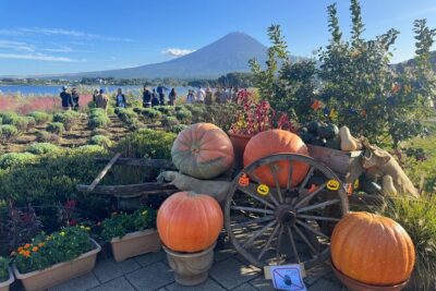 Mt. Fuji & Hakone Cherry Blossom private One Day Tour