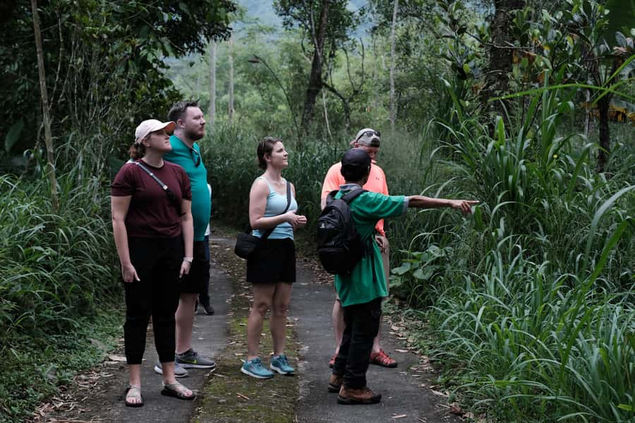 Mt. Merapi Majesty: Soft Trek and Botanic Village Tour - Key points to know before you book