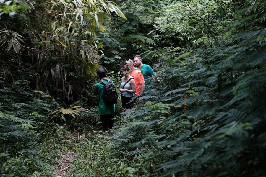 Mt. Merapi Majesty: Soft Trek and Botanic Village Tour - Practical preparation for the six-hour outing