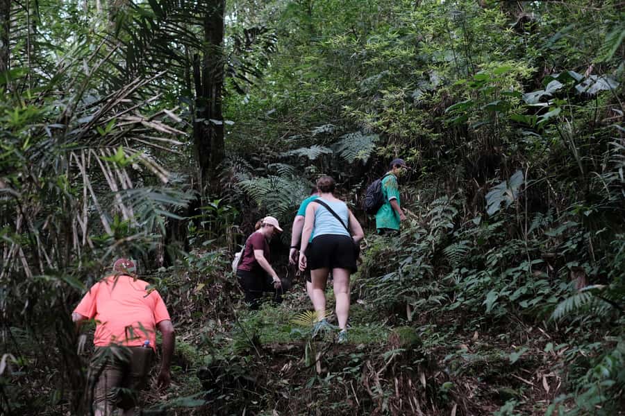 Mt. Merapi Majesty: Soft Trek and Botanic Village Tour - Why this Merapi outing feels different from a standard Yogyakarta day trip
