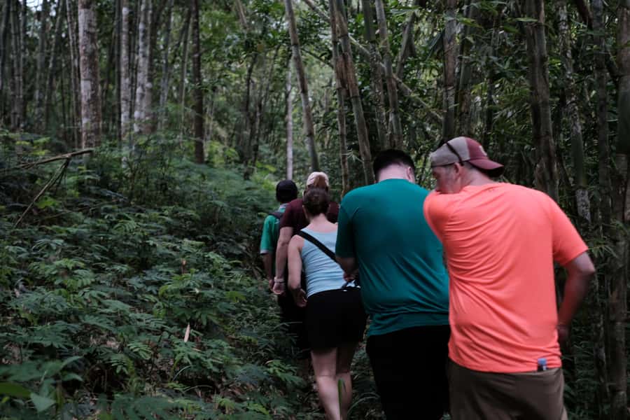 Mt. Merapi Majesty: Soft Trek and Botanic Village Tour - Three hours in a traditional village