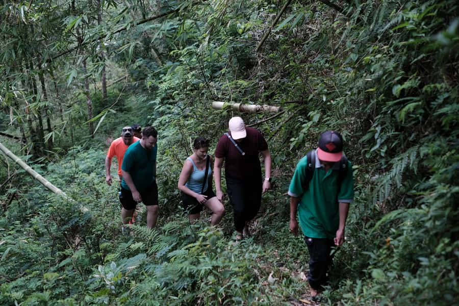 Mt. Merapi Majesty: Soft Trek and Botanic Village Tour - Forest paths, plant gardens, and the orchid stop