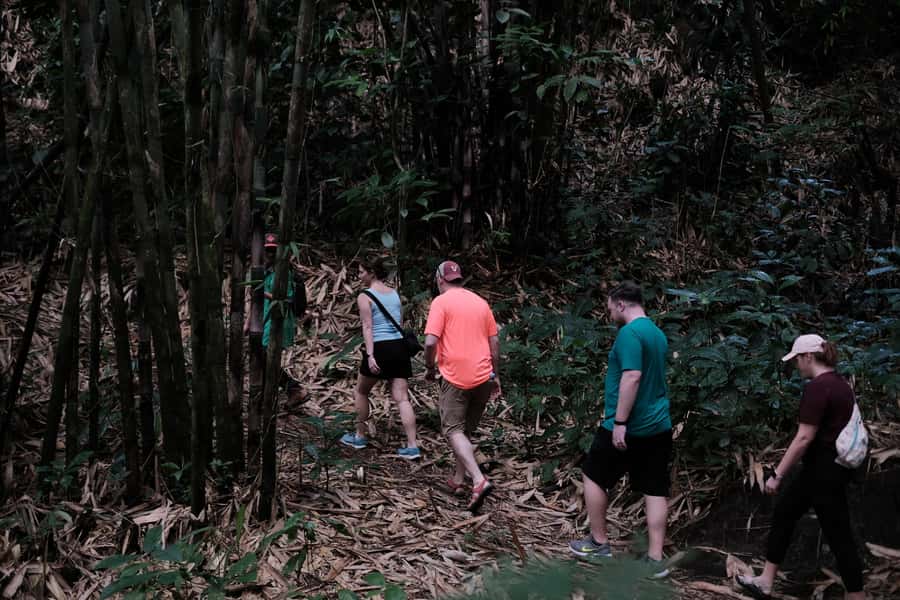 Mt. Merapi Majesty: Soft Trek and Botanic Village Tour - Seeing Mount Merapi when weather allows