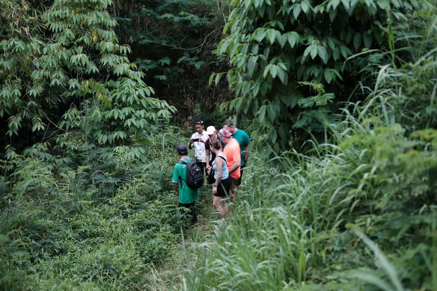 Mt. Merapi Majesty: Soft Trek and Botanic Village Tour - Leaving Yogyakarta for the mountain base
