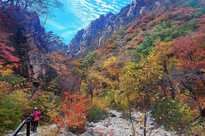 Mt. Seorak+Nami Island+Garden of Morning Calm Day Trip from Seoul - What this 14-hour day is really like