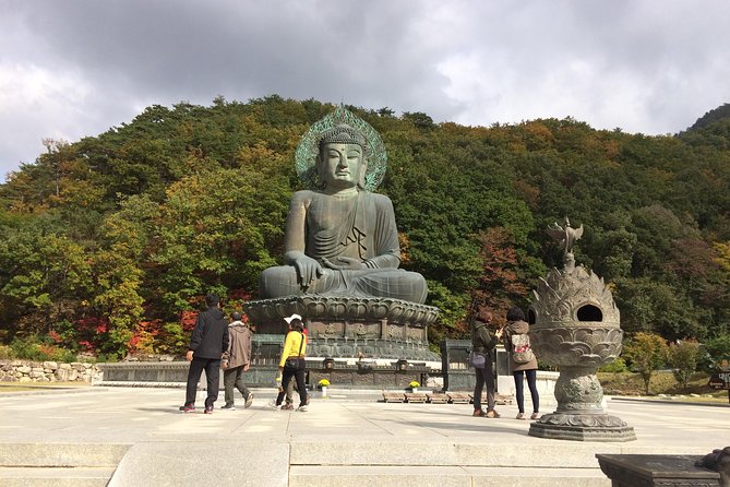 Mt. Seorak+Nami Island+Garden of Morning Calm Day Trip from Seoul - Garden of Morning Calm after the crowds