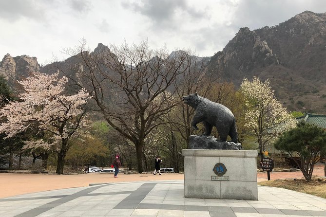 Mt. Seorak+Nami Island+Garden of Morning Calm Day Trip from Seoul - The guides make a real difference
