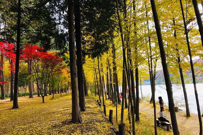 Mt. Seorak+Nami Island+Garden of Morning Calm Day Trip from Seoul - Is $95.18 good value?