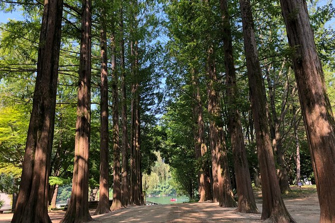 Mt. Seorak+Nami Island+Garden of Morning Calm Day Trip from Seoul - My verdict on the full-day route