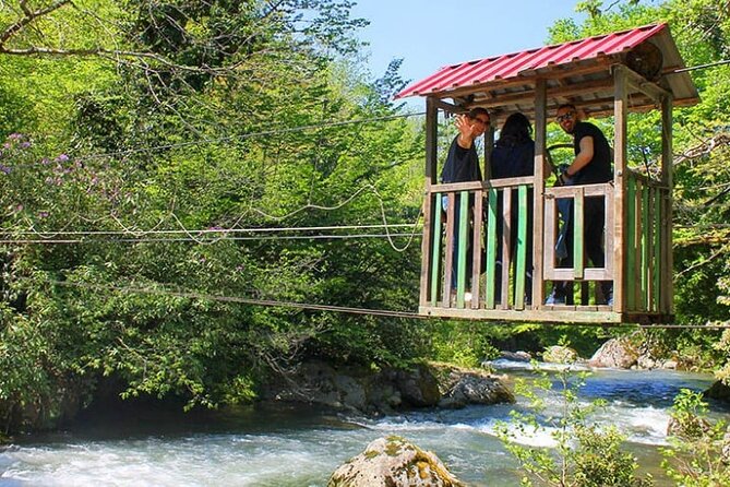 Mtirala National Park & Botanical Garden / Tour From Batumi - The 30-minute transfer to Batumi Botanical Garden