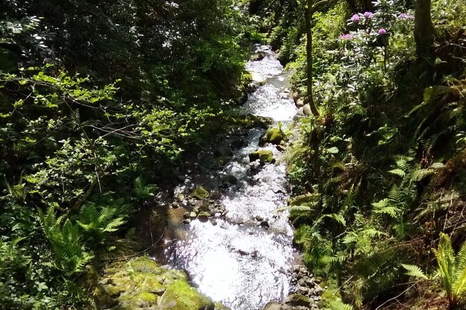 Mtirala National Park & Botanical Garden / Tour From Batumi - Private transport changes the day