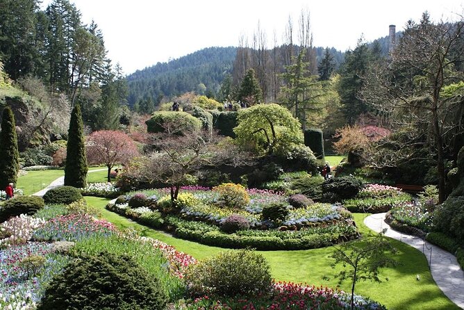 Mtirala National Park & Botanical Garden / Tour From Batumi - Who will enjoy this outing most?