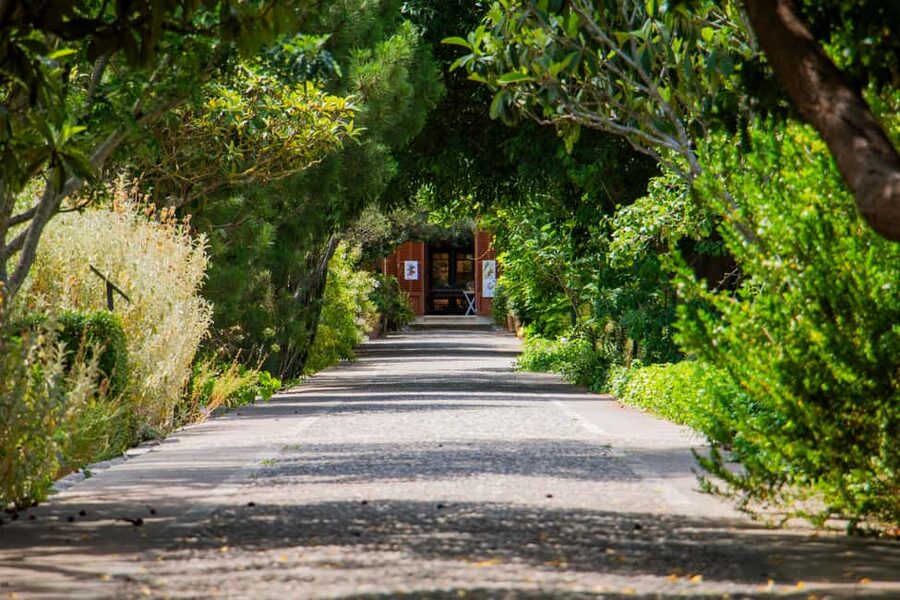 MUCBO | Sóller Botanical Garden - Balearic Museum of Natural Sciences - What MUCBO is trying to do