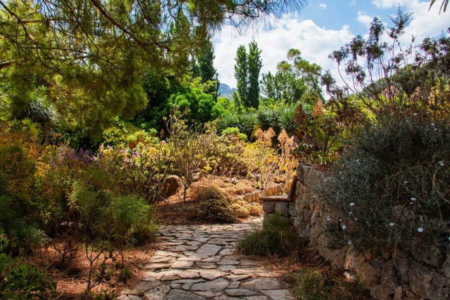 MUCBO | Sóller Botanical Garden - Balearic Museum of Natural Sciences - Continue into the Sóller Botanical Garden