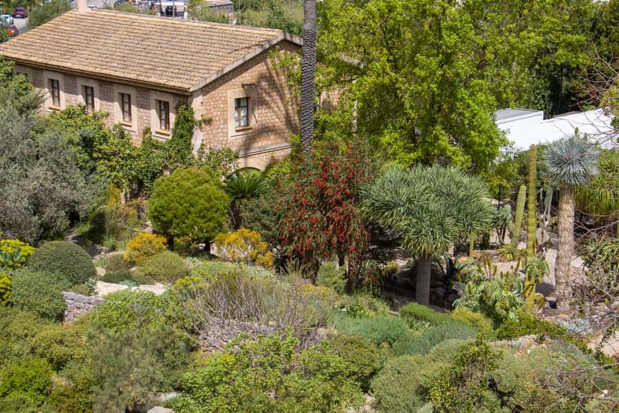MUCBO | Sóller Botanical Garden - Balearic Museum of Natural Sciences - Who will enjoy this most
