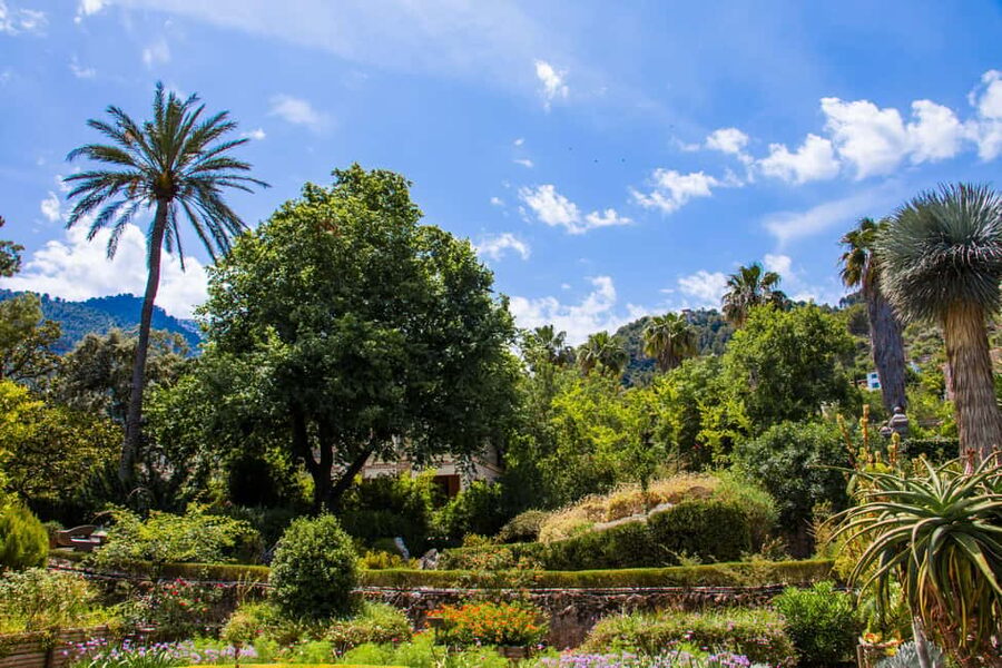 MUCBO | Sóller Botanical Garden - Balearic Museum of Natural Sciences - Should you book MUCBO?