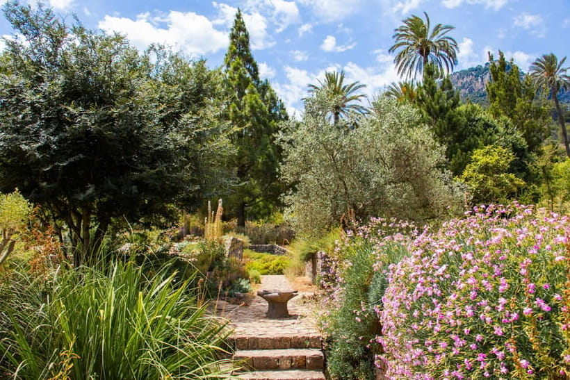MUCBO | Sóller Botanical Garden - Balearic Museum of Natural Sciences - Start with the natural science museum