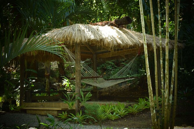 Mud Pools, Gardens, Markets, Temple & Shopping-Nadi Tour half day - Nadi’s produce market: a quick local introduction