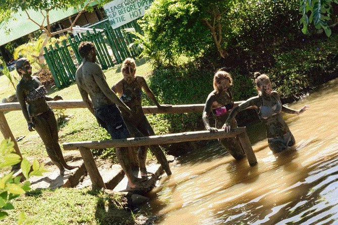 Mud Pools-Nadi Private Therapeutic Pools, Gardens, Temple, Market &Shopping Tour - Nadi’s produce and handicraft markets