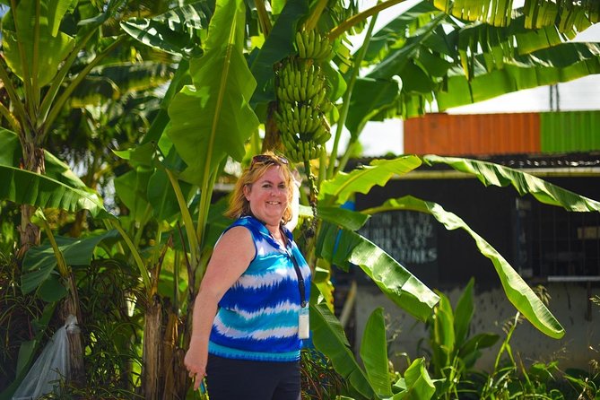 Mudbaths, Waterfall & Botanical Gardens Tour - All Inclusive - Diamond Falls Botanical Gardens in 45 minutes
