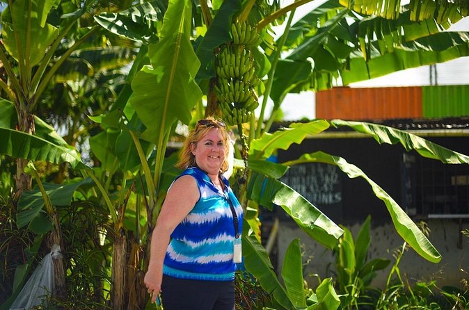 Mudbaths, Waterfall & Botanical Gardens Tour - All Inclusive - Cooling off at Toraille Waterfall